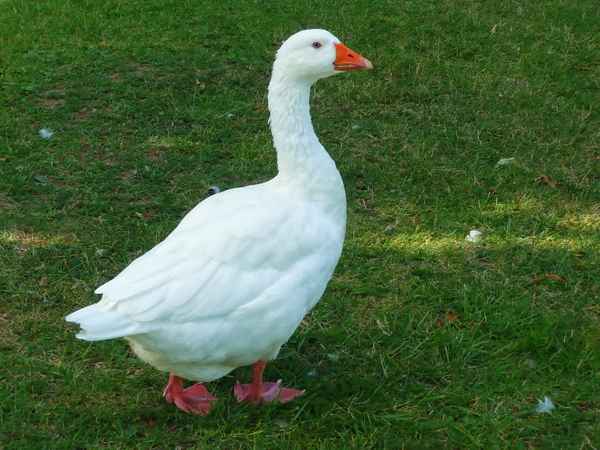 bitte nicht zu nahe kommen!