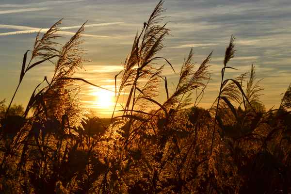 Herbstabend