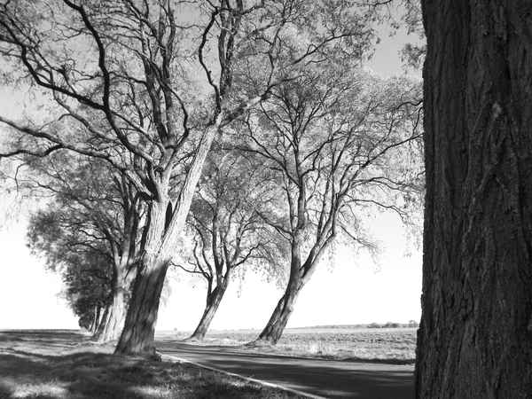 Road wind