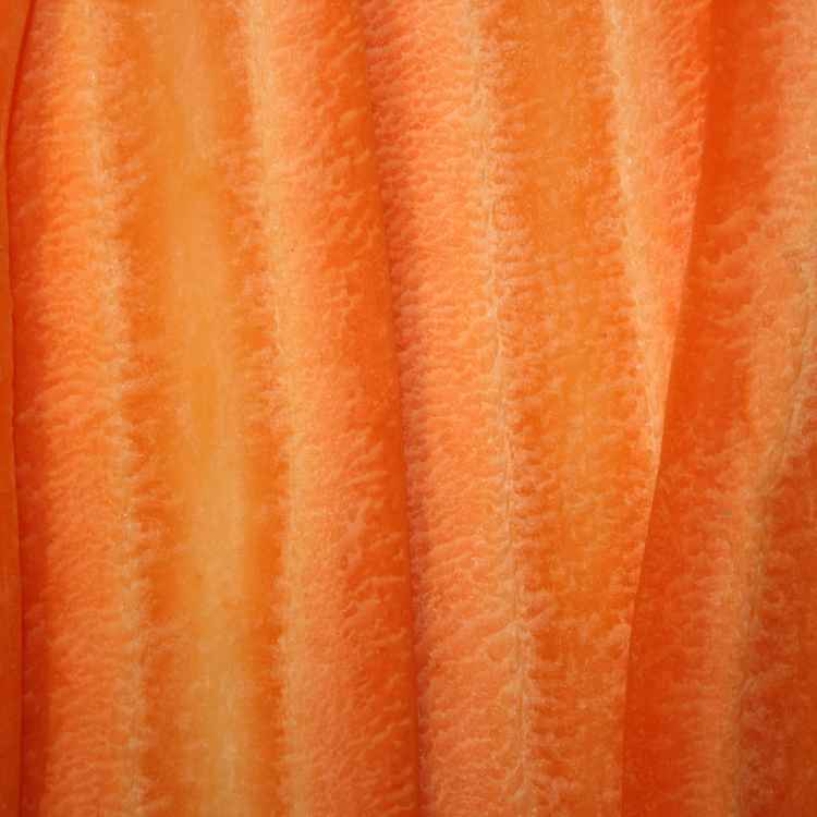 Slices of fresh organic carrot