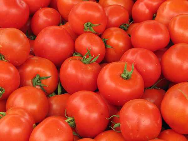 Tomaten (auf dem Markt)