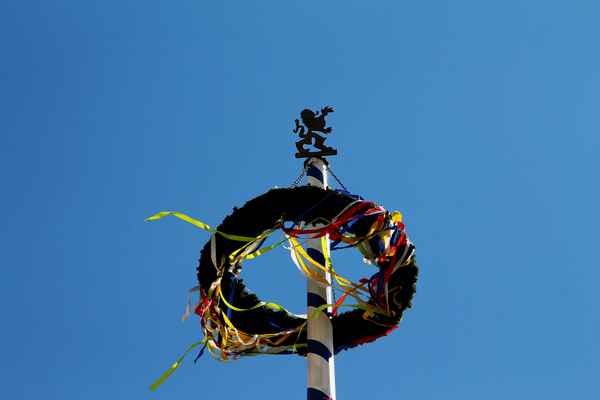 Maibaum im Maiwind 02