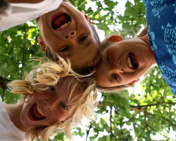 Die Drei - schrei so laut du kannst!