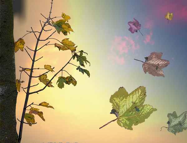 Herbst