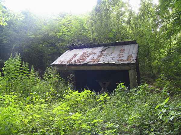 verwunschene Waldhütte