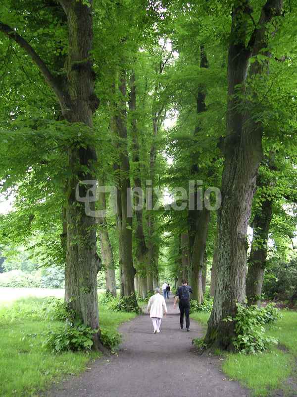 Hirschpark1