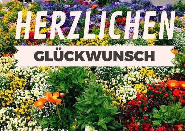 Herzlichen Gl&uuml;ckwunsch
