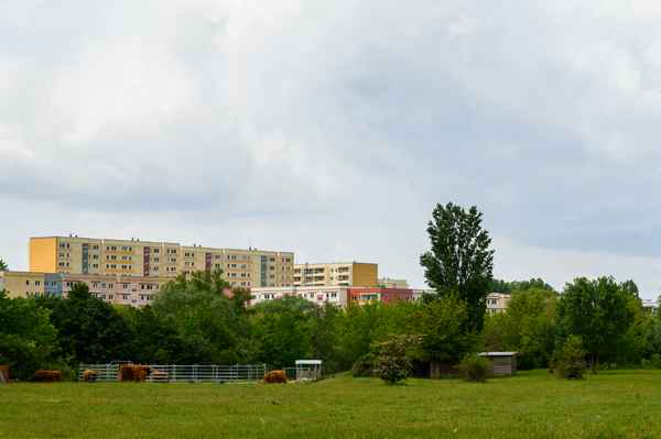 Viehzucht am Rande der Großstadt