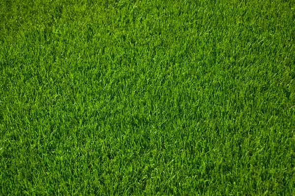 ... im grünen Bereich