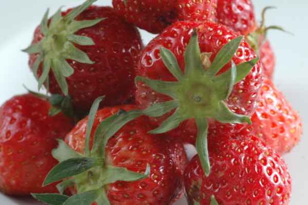 Erdbeeren