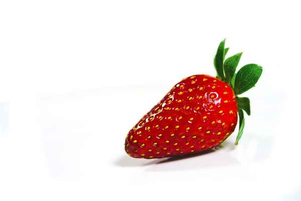 Erdbeere (Fragaria)
