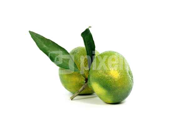 Mandarinen 7