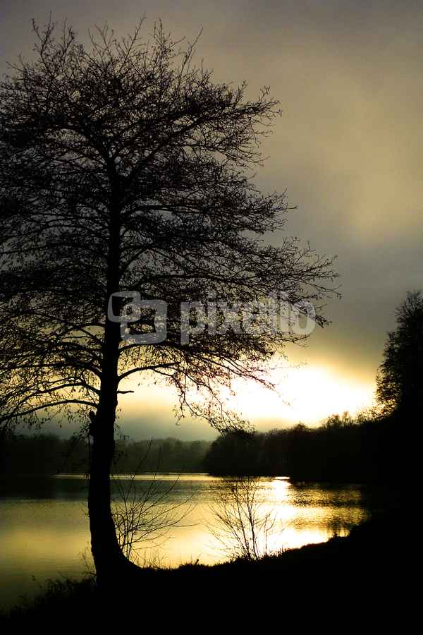 Lake in the Evening II