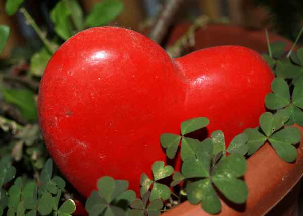 Herz mit Kleeblatt