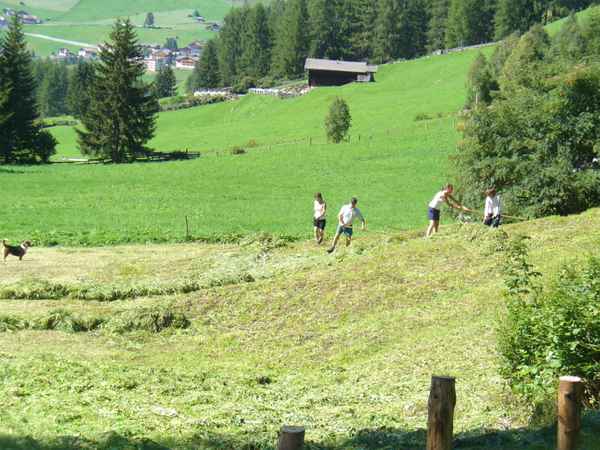 Bergbauern