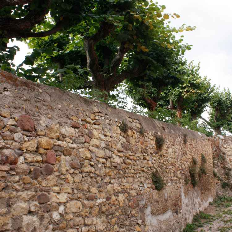 Elville An der Burg - Burgmauer