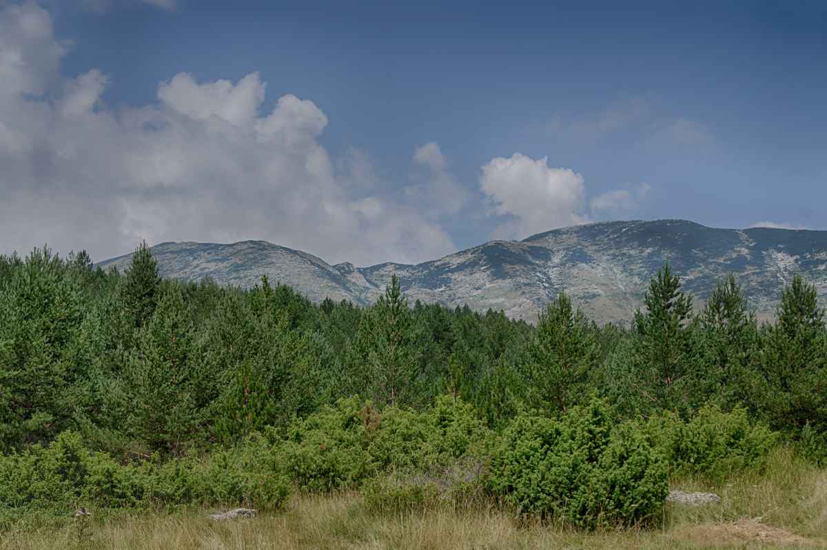 Blidinje