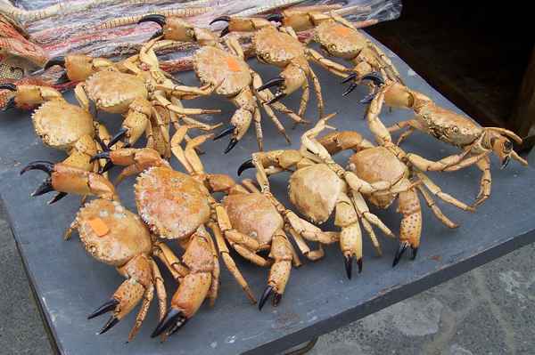 Alt-Nessebar, Krebstiere als Souvenirs