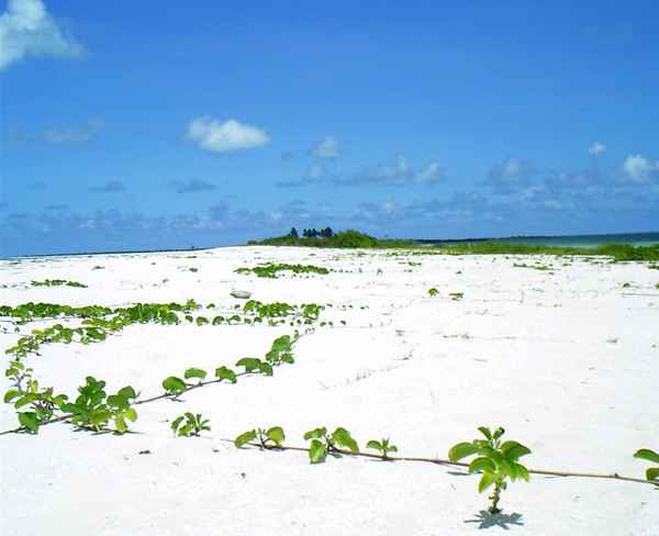 Strand von Barbuda