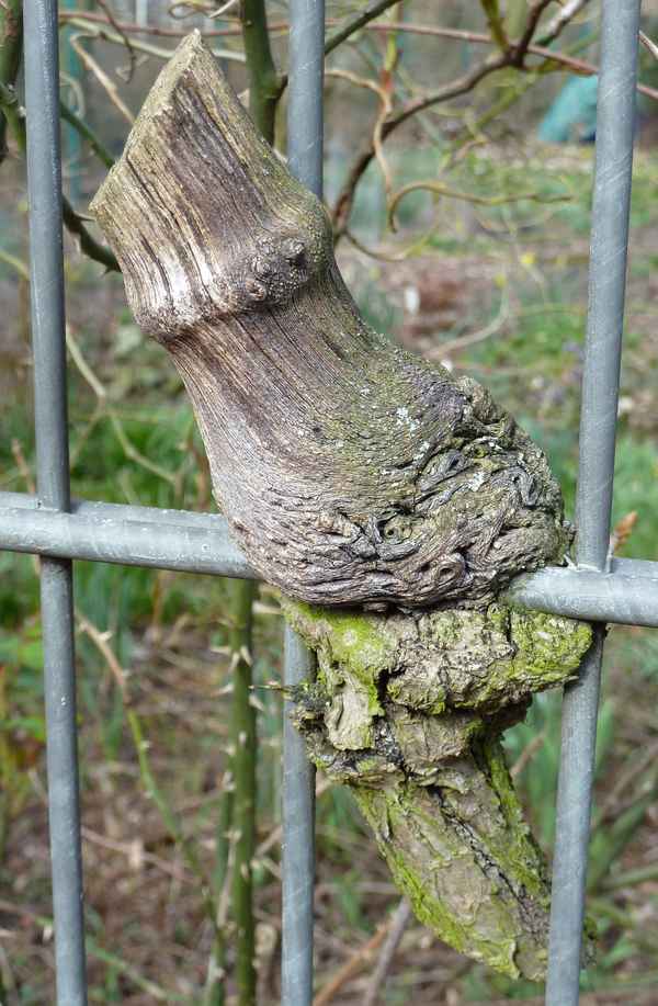 Am Ende des Lebens war alles vergebens