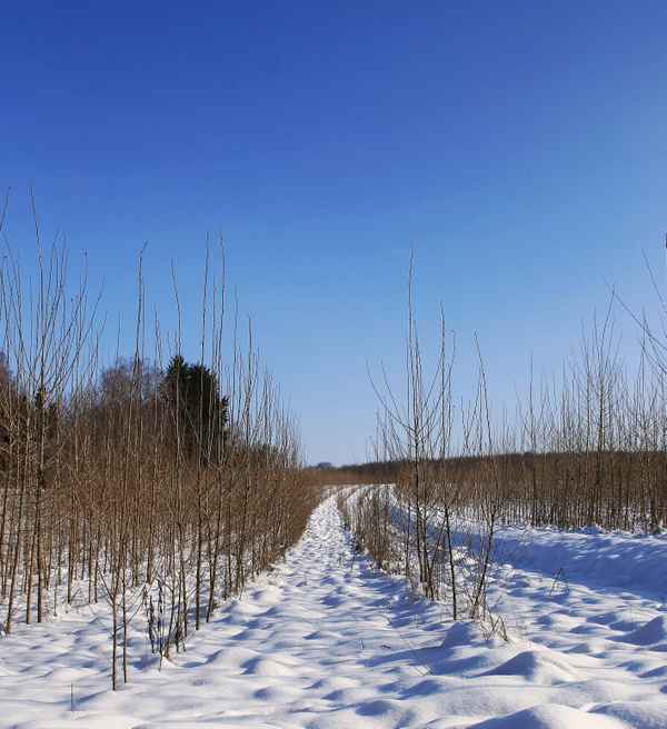 Wir werden einmal groß