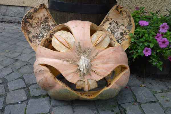 Halloween-Kürbis