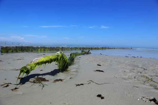 Strandblick