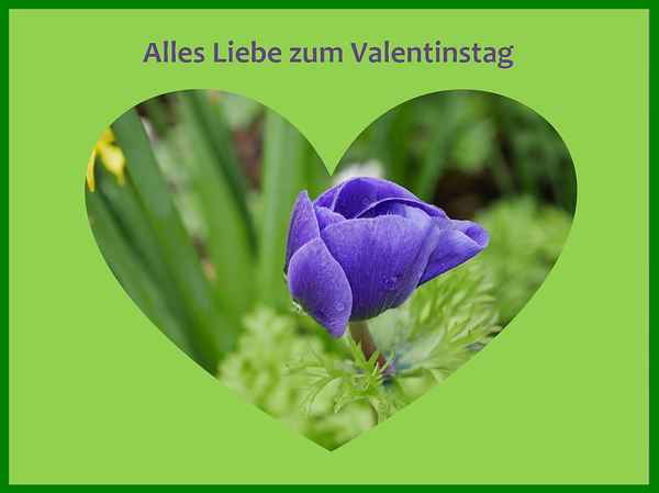 Alles Liebe