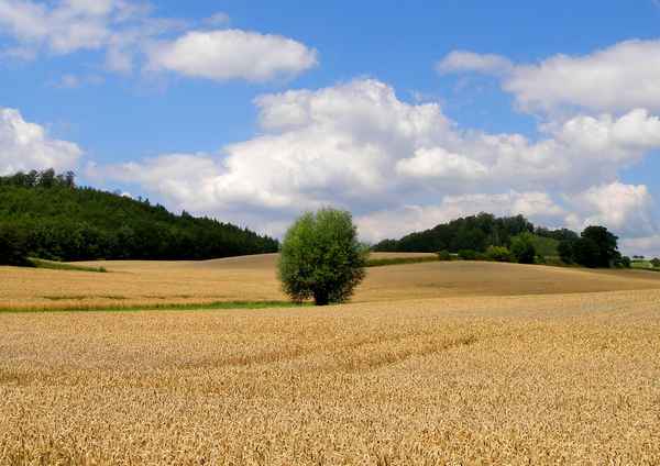 Liebliche Landschaft 2