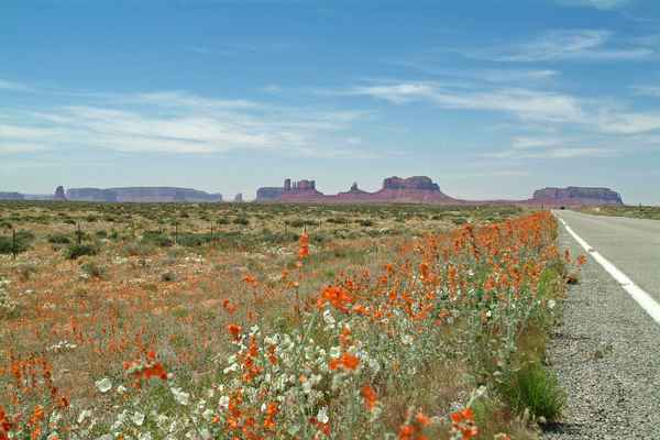Strasse zum Monument Valley