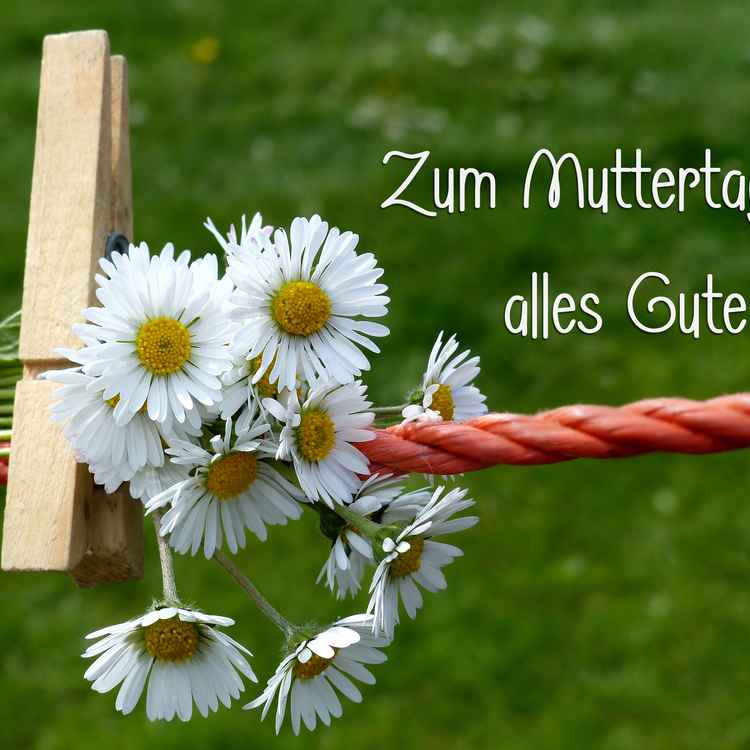Zum Muttertag