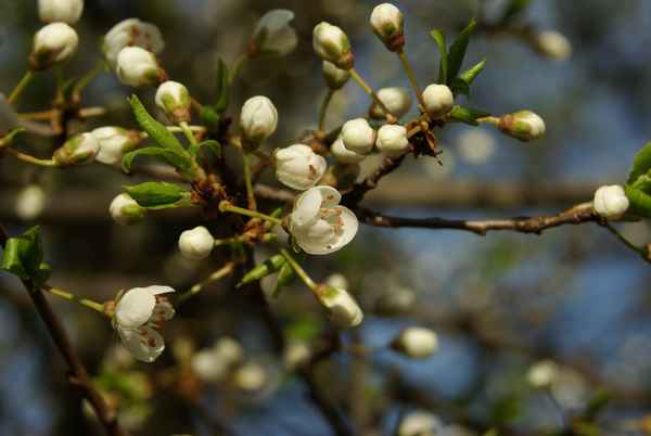Spaziergang auf dem Killesberg 3