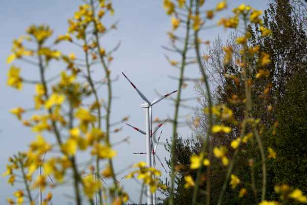 Windkraft