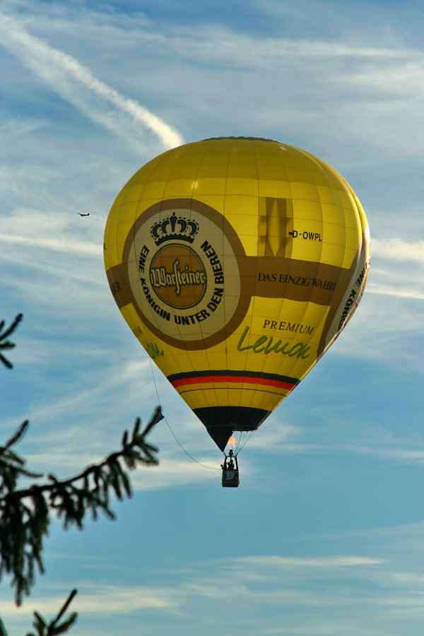 Warsteiner
