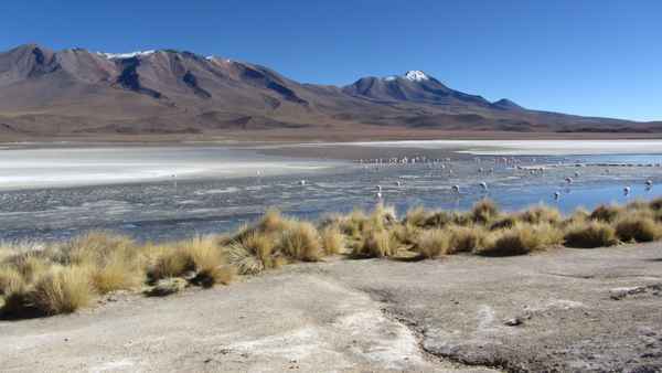 Laguna Colorada