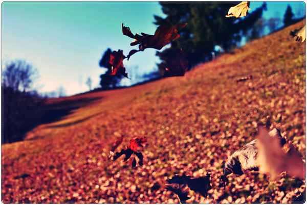 herbst