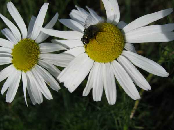 die letzten warmen Sonnenstrahlen nutzen 2