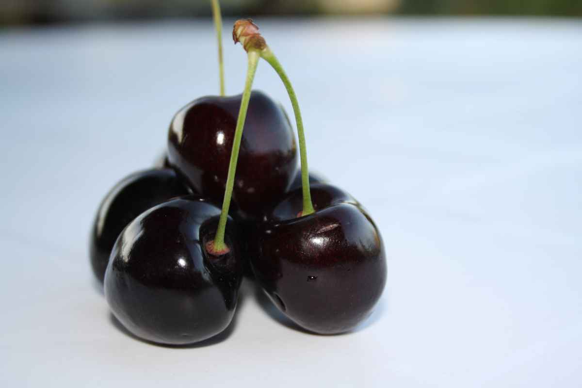 schwarzes Süsskirschen #4