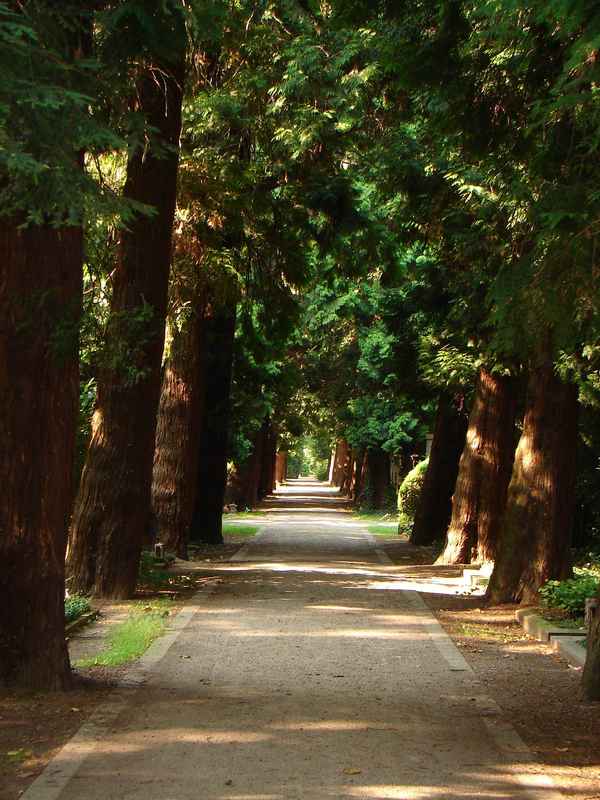 Allee in die Unendlichkeit