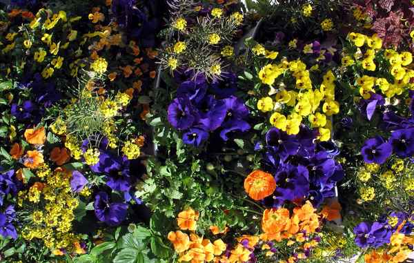 Der Frühling war so schön