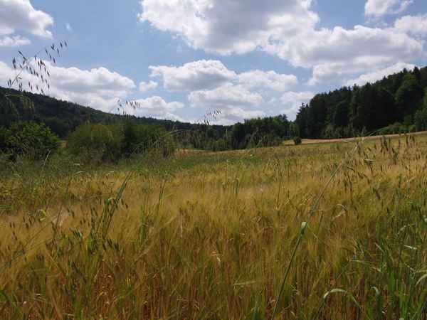 ein Sommerfeld