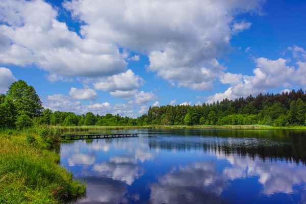 Moorsee im Voralpenland