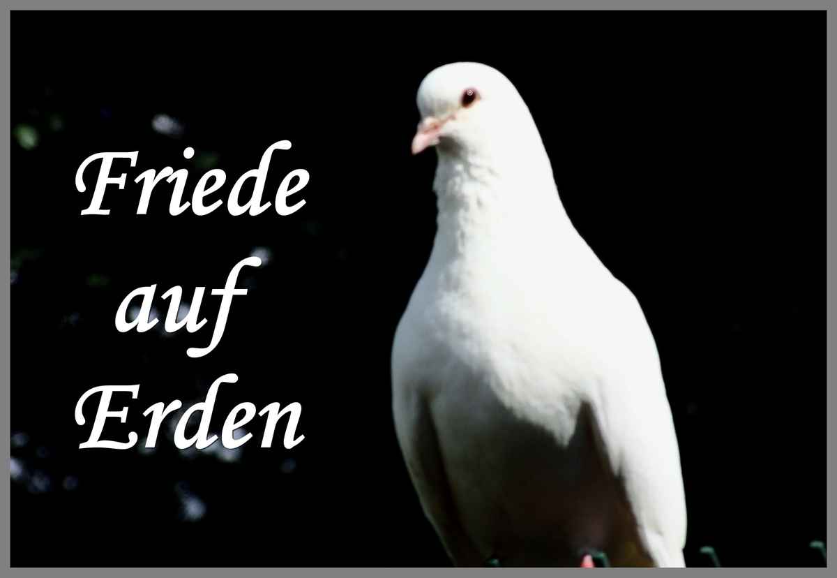 Friede auf Erden
