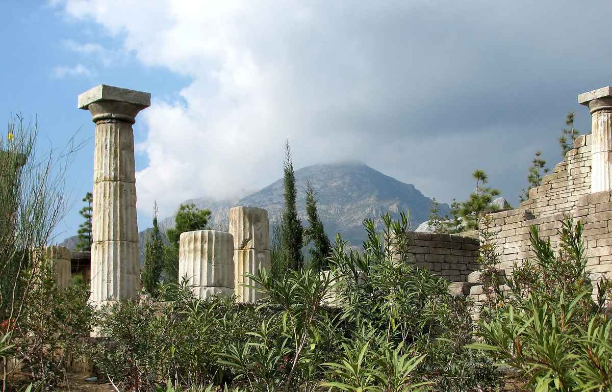 Terra Natura