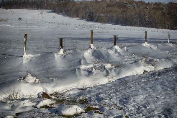 Winterlandschaft