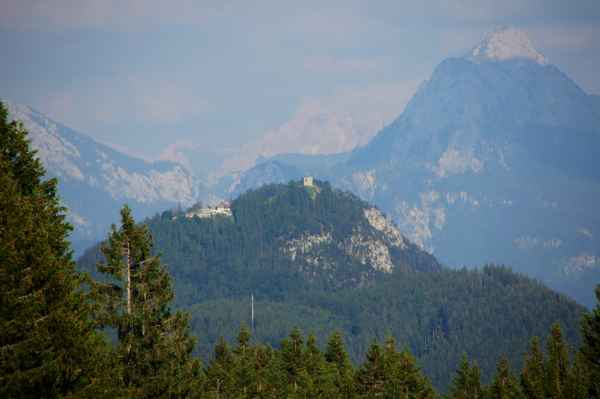 Falkenstein und Säuling