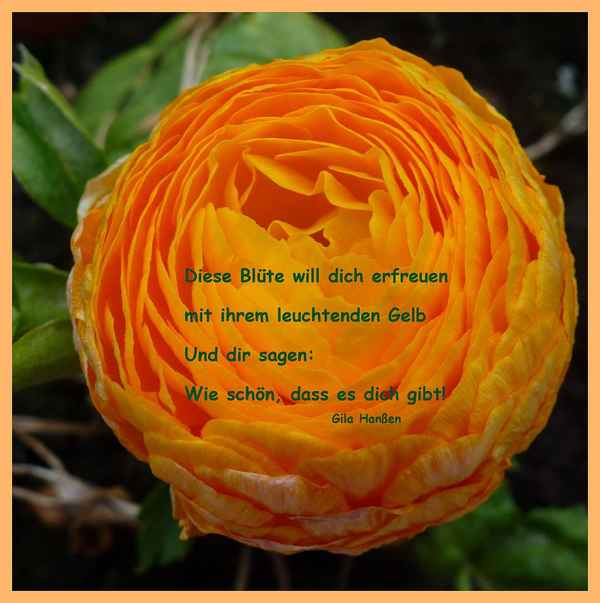 Schön, dass es dich gibt