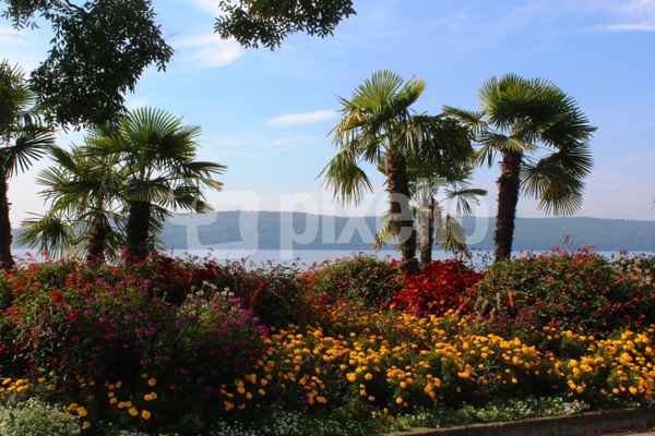 Uferpromenade am Bodensee