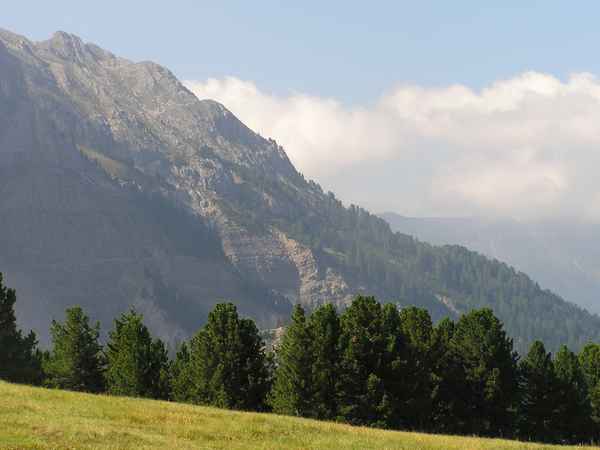 Berge mit Wiese