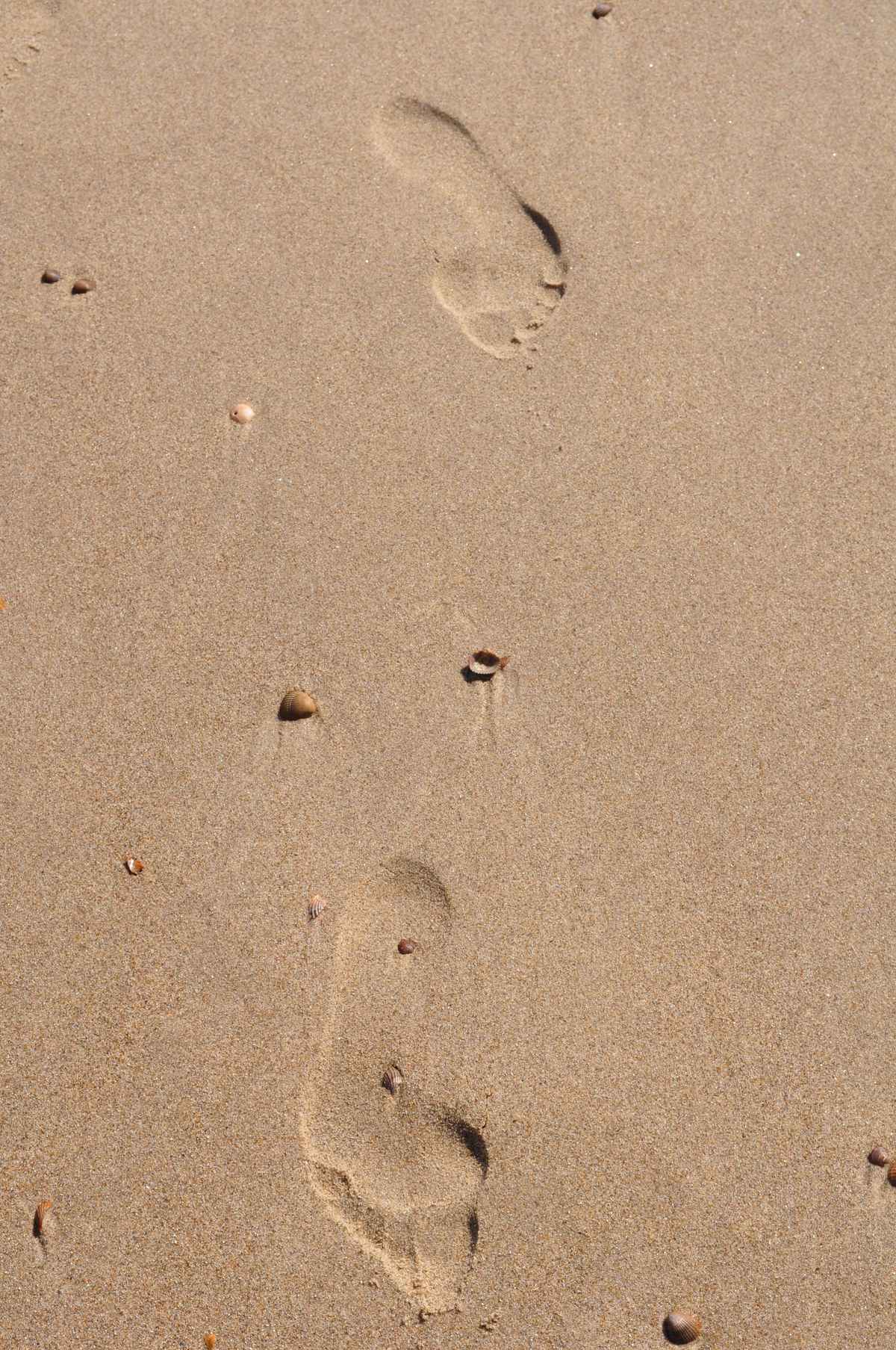 Deine Spuren im Sand 2